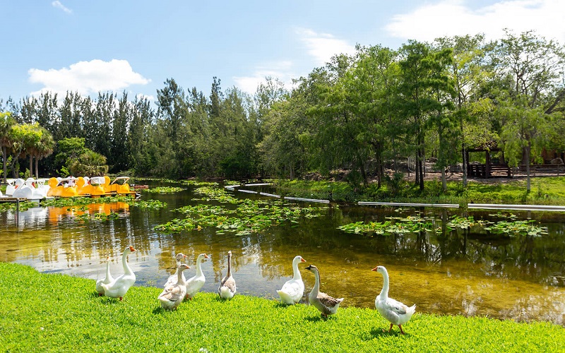 Amelia Eahart Park em Miami Amelia Eahart Park em Miami