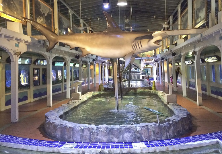 Key West Aquarium em Miami Key West Aquarium em Miami